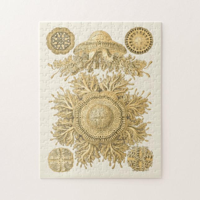 Puzzle Les créatures de la mer d'or (Vertical)