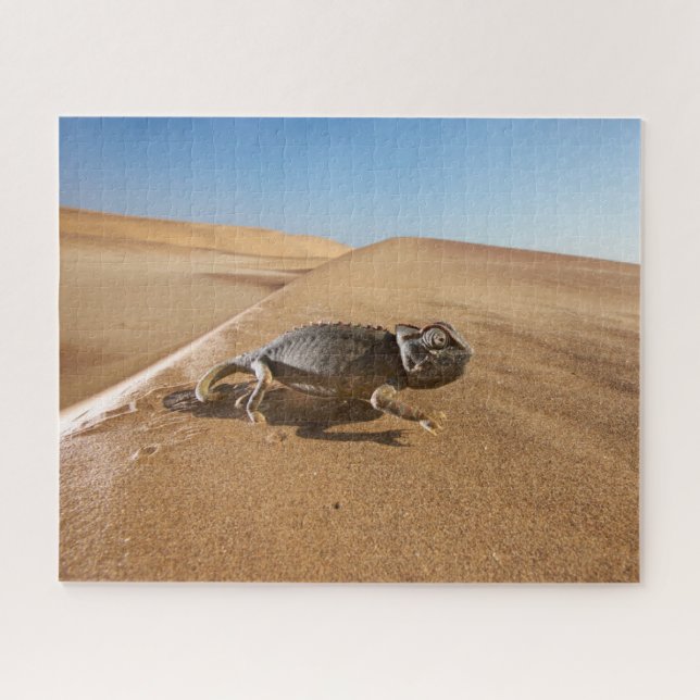 Puzzle Les déserts | Namaqua Chameleon dans le désert (Horizontal)