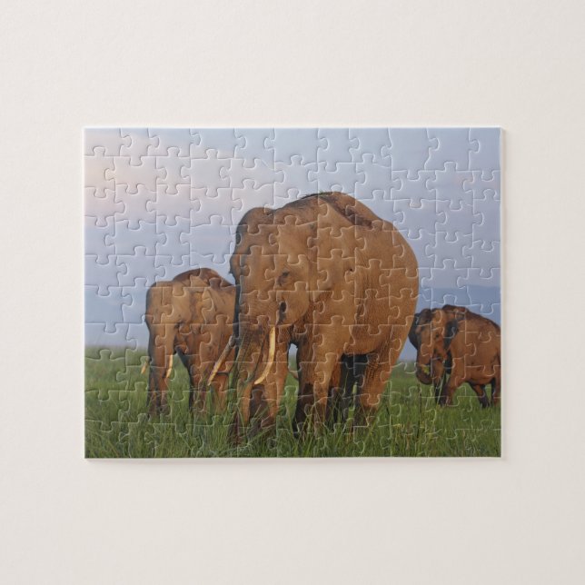 Puzzle Les éléphants indiens dans les Prairies (Horizontal)