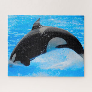 Puzzle Les épaulards de Jigsaw ou Orques baleines tueuses