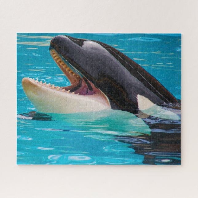 Puzzle Les épaulards de Jigsaw ou Orques baleines tueuses (Horizontal)