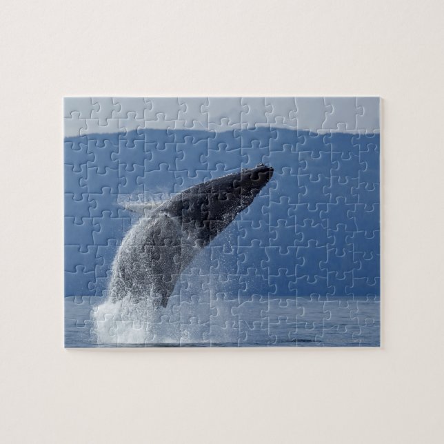 Puzzle Les Etats-Unis, Alaska, Angoon, baleine de bosse (Horizontal)