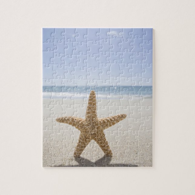 Puzzle Les Etats-Unis, le Massachusetts, Cape Cod, (Vertical)
