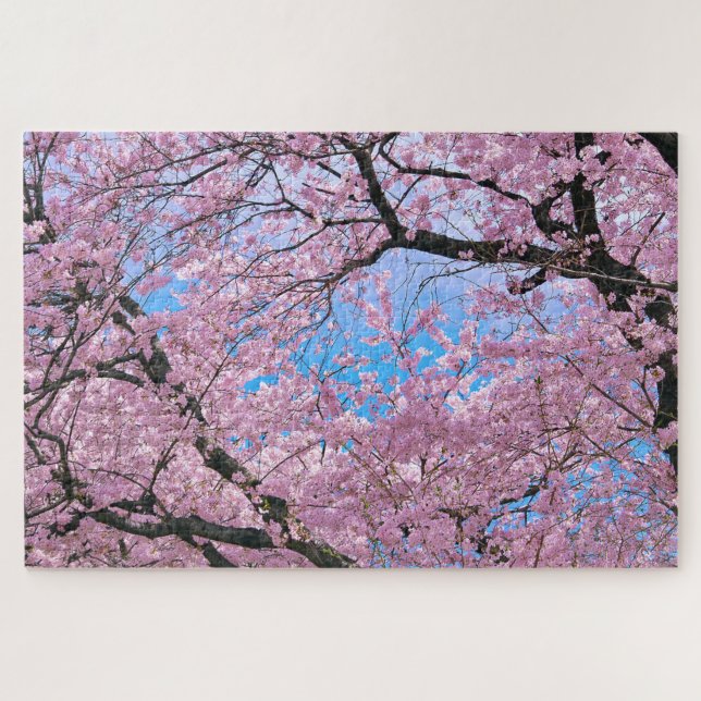 Puzzle Les fleurs de cerisiers en fleurs (Horizontal)