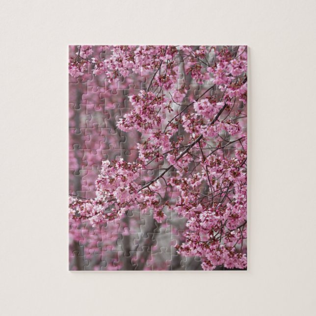 Puzzle Les fleurs de cerisiers Sakura sont roses (Vertical)