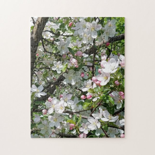 Puzzle Les fleurs de pomme de printemps (Vertical)