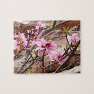 Puzzle Les fleurs du printemps sur les rochers de Sion