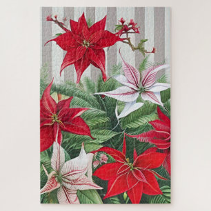 Puzzle Les hybrides Red Amaryllis et Poinsettia