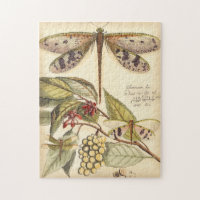 Les libellules aux Feuilles et aux fruits