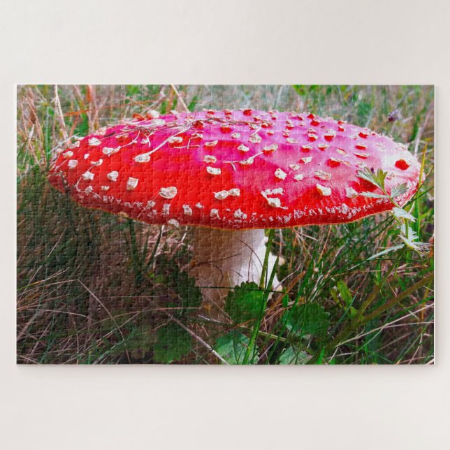 Puzzle Les lutins où les petites gens vivent Irlande (Horizontal)