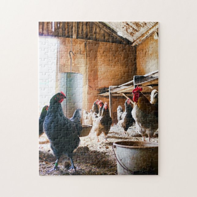 Puzzle Les meilleures photos d'oiseaux (Vertical)