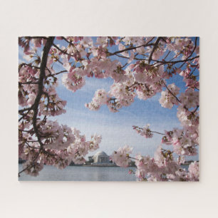 Puzzle Les monuments   Jefferson Memorial Cherry Blossoms