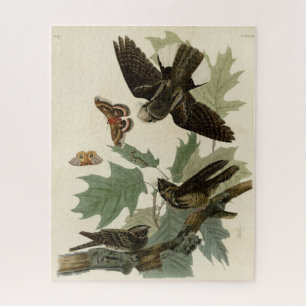 Puzzle Les oiseaux d'Amérique d'Audubon