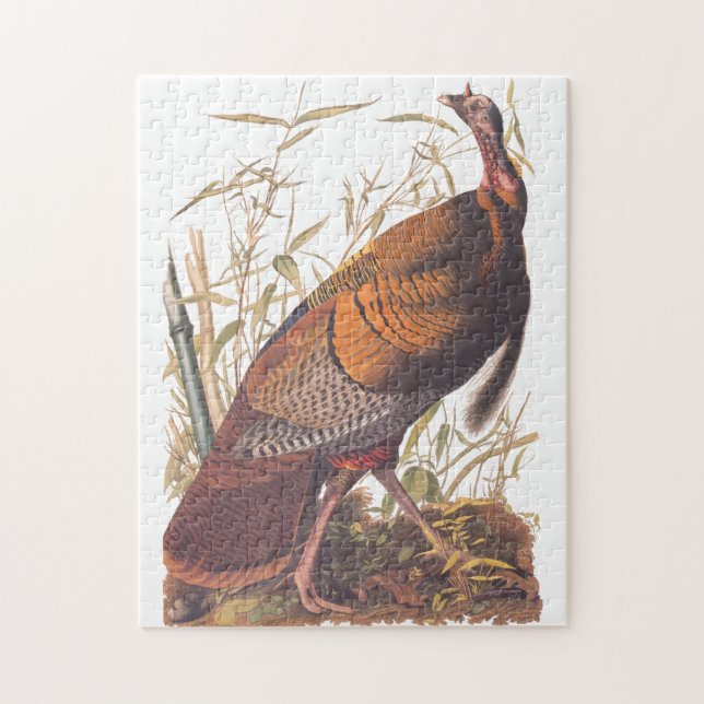 Puzzle Les oiseaux d'Amérique d'Audubon La Turquie sauvag (Vertical)