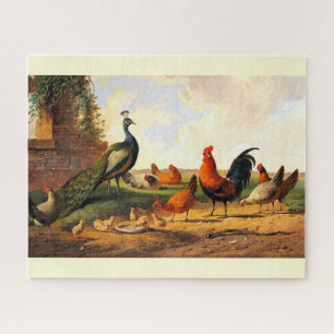 Puzzle Les oiseaux de ferme