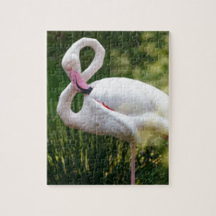 Puzzle Les oiseaux de plage tropicaux Flamants roses de d