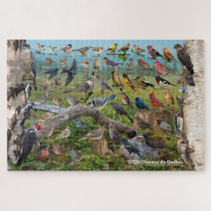 Puzzle Les Oiseaux du Québec