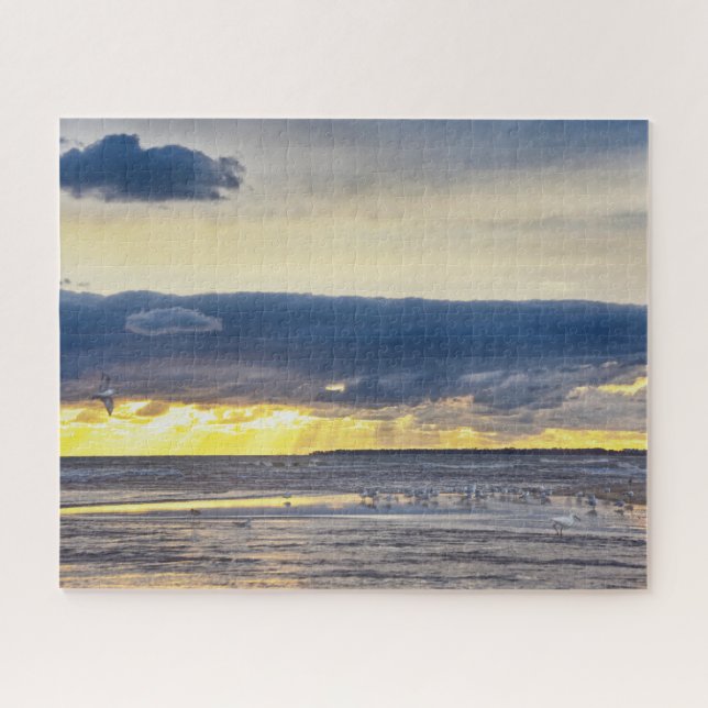 Puzzle Les oiseaux se rassemblent sur une plage de Florid (Horizontal)