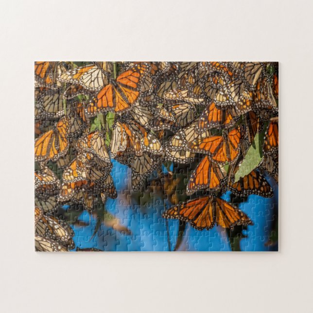 Puzzle Les papillons monarques migrateurs s'accrochent au (Horizontal)