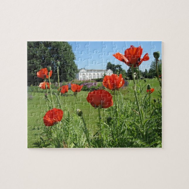 Puzzle Les pavots rouges chez Kew fait du jardinage (Horizontal)