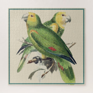 Puzzle Les perroquets d'Amazona - oiseaux vintages
