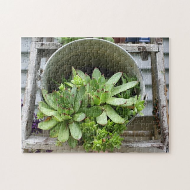 Puzzle Les Poules Et Les Poulets Succulent Dans Une Natur (Horizontal)