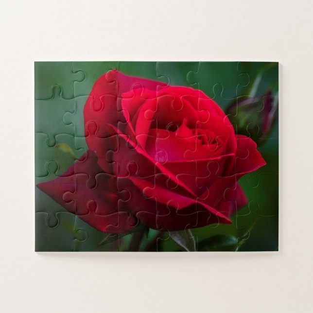 Puzzle Les roses sont rouges 11"x14" faciles (Horizontal)