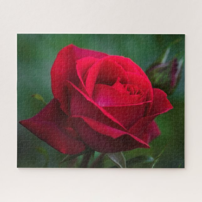 Puzzle Les roses sont rouges 16"x20" difficile Jigsaw Puz (Horizontal)