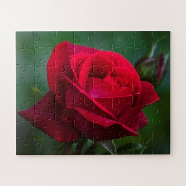 Puzzle Les roses sont rouges 16"x20" facile (Horizontal)