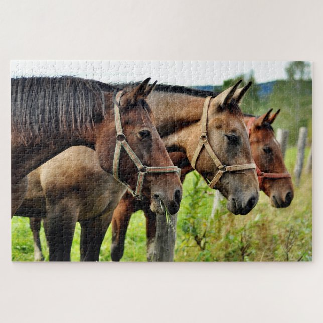 Puzzle Les Trois Amigos Étonnant Les Amis Du Cheval (Horizontal)