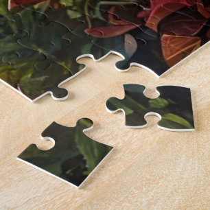 Puzzle "Les WC de Pont-Aven" Patrimoine et Humour