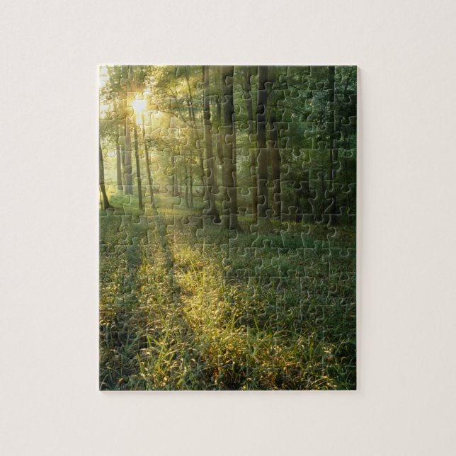 Puzzle Lever de soleil à travers la forêt de chêne et de  (Vertical)