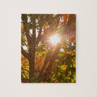 Puzzle Lever de soleil à travers les arbres colorés en au