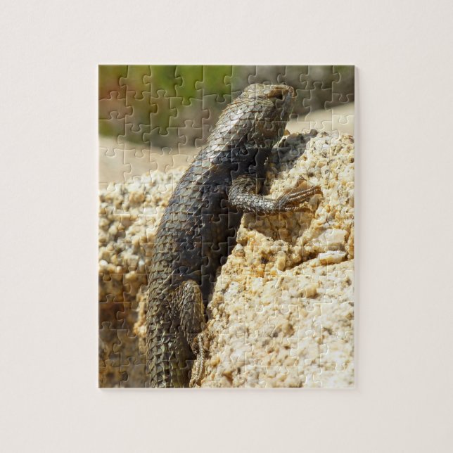 Puzzle Lézard épineux à dos jaune à Joshua Tree (Vertical)