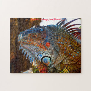 Puzzle Lézard Iguane Floride . Vœux de Noël