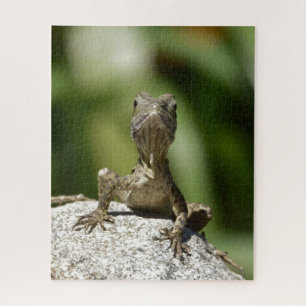 Puzzle Lézard juvénile curieux