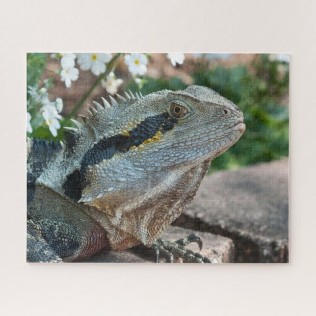 Puzzle Lézard reptile dragon d'eau oriental (Horizontal)