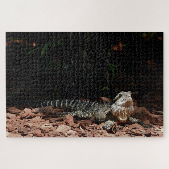Puzzle Lézard reptile - Dragon d'eau oriental (Horizontal)