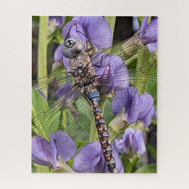 Puzzle Libellule Aeshne à yeux bleus sur fleur (Vertical)