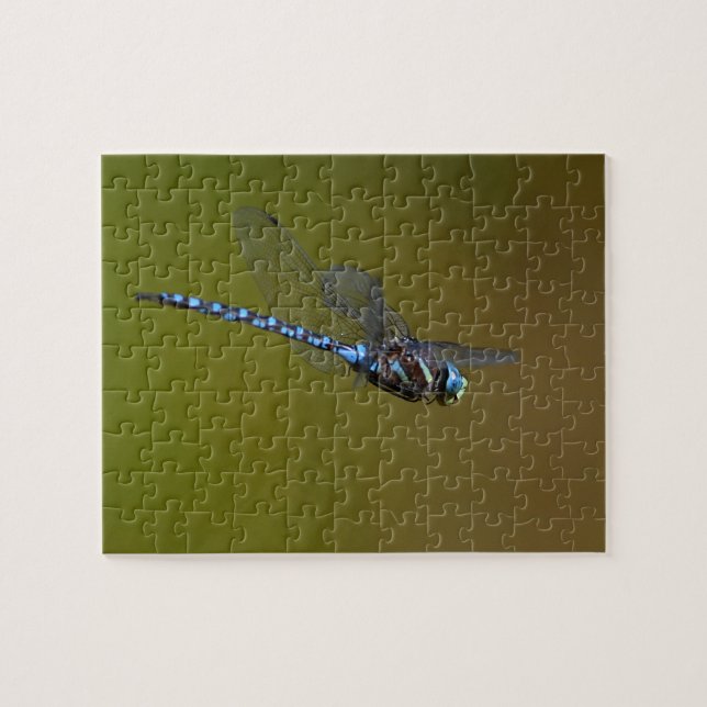 Puzzle libellule en vol (Horizontal)