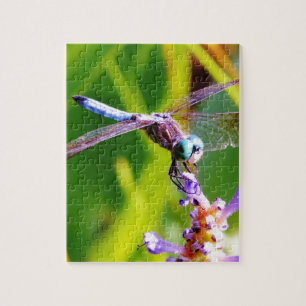 Puzzle libellule turquoise et violette