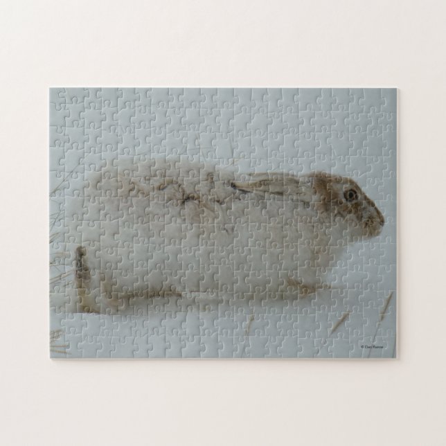 Puzzle Lièvre d'Amérique R7 Prêt à courir (Horizontal)