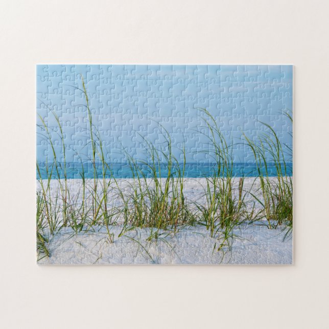 Puzzle Ligne D'Aiguilles De Mer En Sable Blanc (Horizontal)