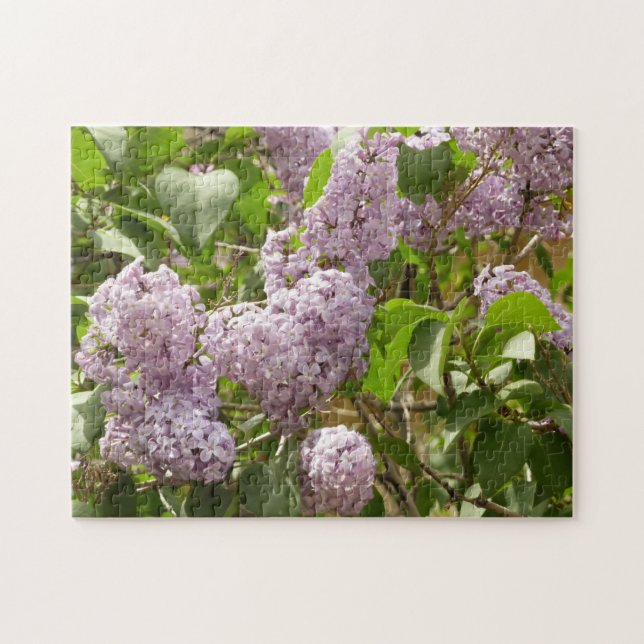 Puzzle Lilac Bush Belles fleurs de printemps violettes (Horizontal)