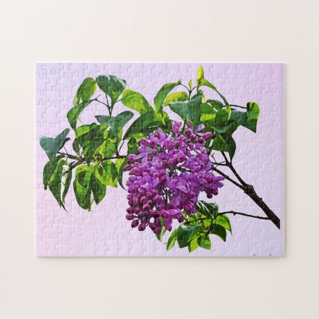Puzzle Lilacs à l'ouverture (Horizontal)
