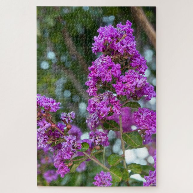 Puzzle Lilas de Chine, Livermore (Vertical)