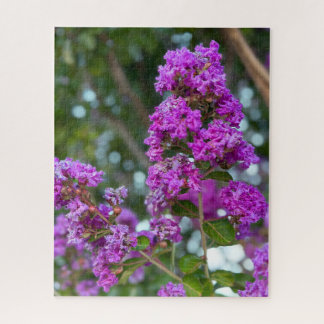 Puzzle Lilas de Chine, Livermore