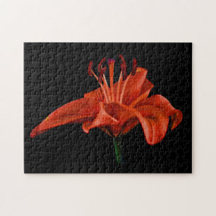 Puzzle Lily rouge sur noir