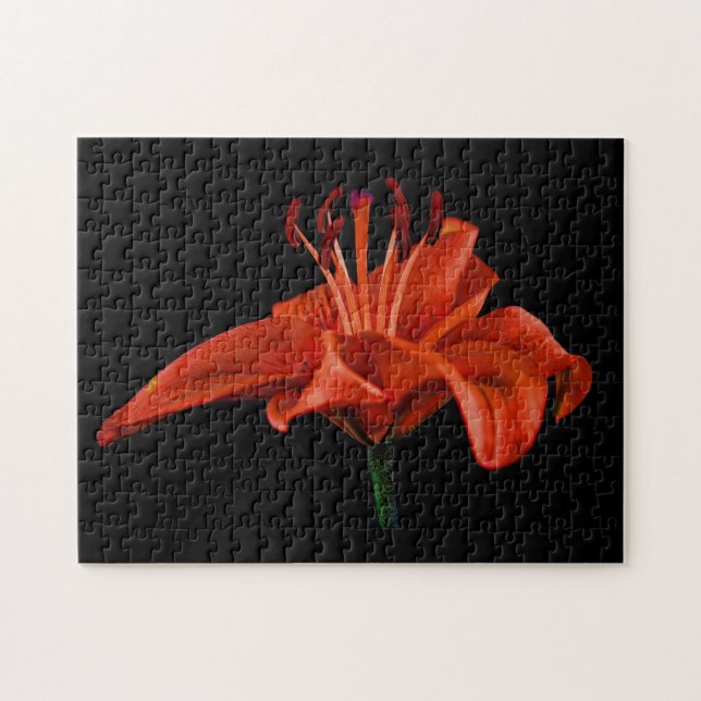 Puzzle Lily rouge sur noir (Horizontal)