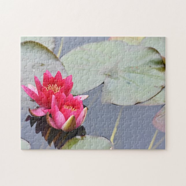 Puzzle Lilypad rose Lily Fleur Nature Photographie Jardin (Horizontal)
